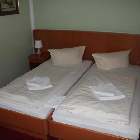 La Rustica Altstadthotel 3* ורניגרוד